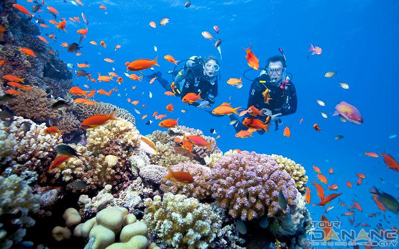 Cham Island Tour